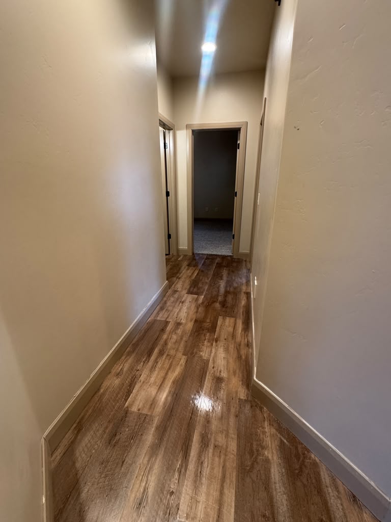 Hardwood — Glossy Hallway